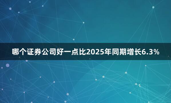 哪个证券公司好一点比2025年同期增长6.3%